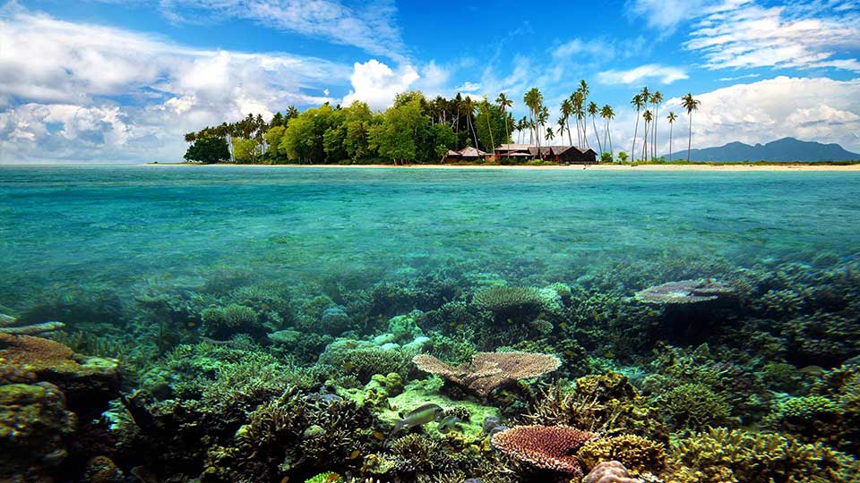 an unusual view from below the ocean on a tropical island circled by a white send beach whilst long green palm trees are giving a shade