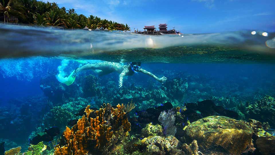 vibrant coral reef visited by a girl snorkelling and in the high background is a sky above with trees from a nearby island